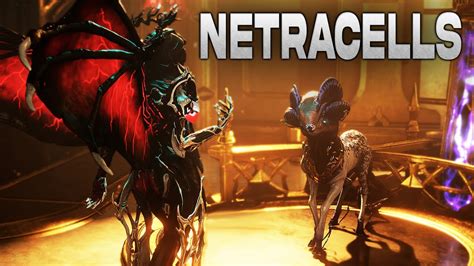 melee arcane adapter|Warframe Netracell Guide .